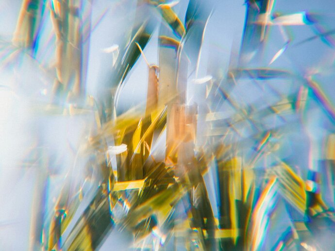 Picture of light refracted through a crystal produced fractured prisms.