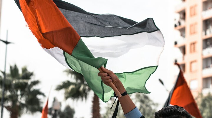 a Palestine flag being held aloft during a protest